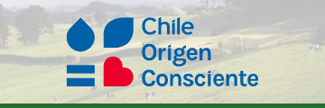 Chile Origen Consciente