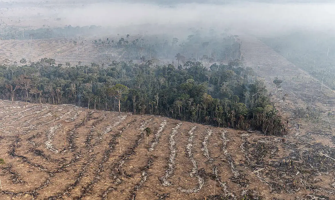 Fogo na Amazônia é etapa da exploração econômica do bioma 