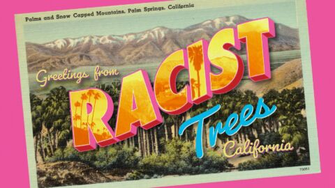 Thumbnail for: Racist Trees