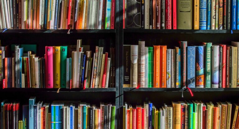 Black shelf full of vibrantly coloured books.