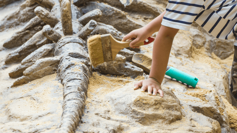 a child exploring dinosaur bones