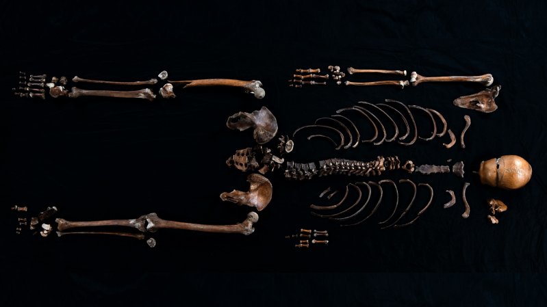 a 900 year old skeleton