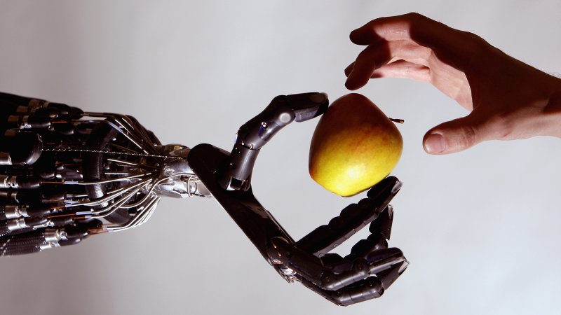 The Shadow Robot company's Dextrous Robotic Hand was the most advanced robot hand in the world in 2008.