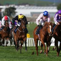 Jackie Oh montée par Seamus Heffernan à l'hippodrome de Naas, en Irlande.