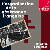 L'organisation de la Résistance française