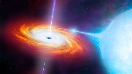 Les trous noirs stellaires, issus de l'évolution des étoiles les plus massives, laissent après explosion un résidu compact, un trou noir ou une étoile à neutron