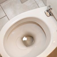 Pourquoi y a-t-il de l’eau dans les toilettes ?