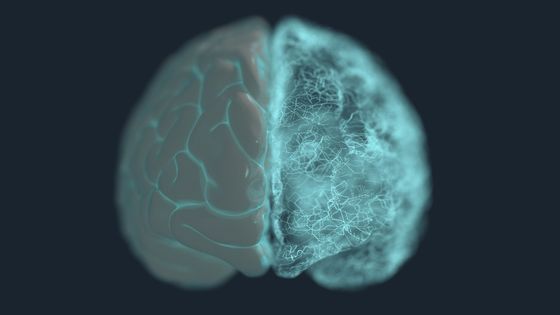 Vue d'artiste des réseaux de neurones artificiels s'inspirant du cerveau humain.