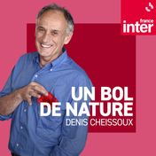 Un bol de nature