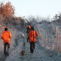 Les fédérations de chasseurs reçoivent des subventions publiques afin d’agir pour la biodiversité mais certains usages posent question (image d’illustration)