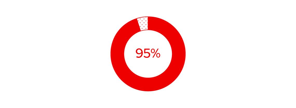 pie chart that reads 95%