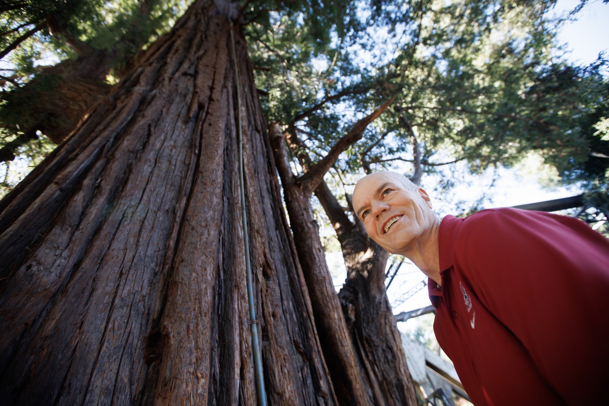 Jeff Watt of Palo Alto, an electrical engineer and amateur historian at the base of El Palo Alto on Monday, Nov. 4, 2024, in Palo Alto, Calif. Watt's extensive research about the redwood tree El Palo Alto, the city's namesake, could help the tree gain state historical landmark status. (Dai Sugano/Bay Area News Group)