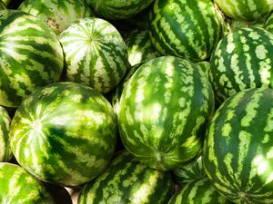 pile of large, green watermelon