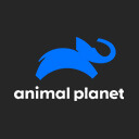 Animal Planet