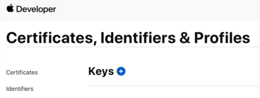 Click the + button to add a new key.