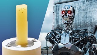 The robot is closer to a throbbing fruit pastille than to the Terminator