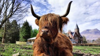 The Torridon hotel makes the most of its wild location with mighty views of some of Scotland’s most dramatic peaks