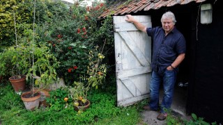 Richard Mabey in his Norfolk garden, which he modelled on the idea of “commonland”