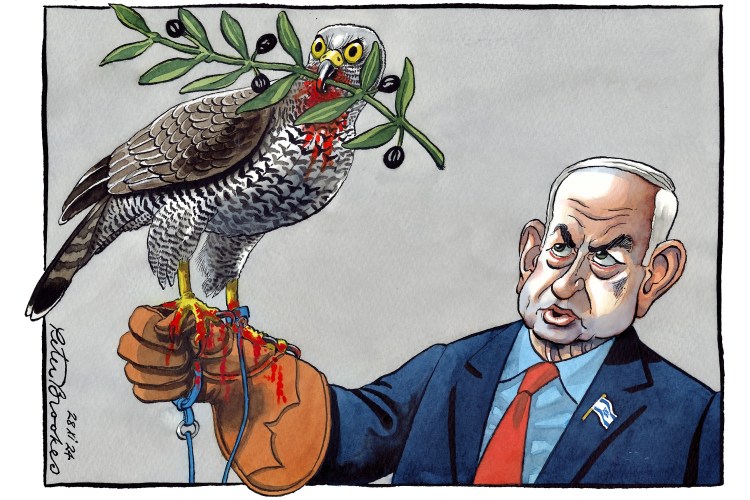 Peter Brookes Times cartoon