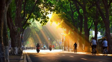 The sun shining through the trees in Hanoi, Vietnam