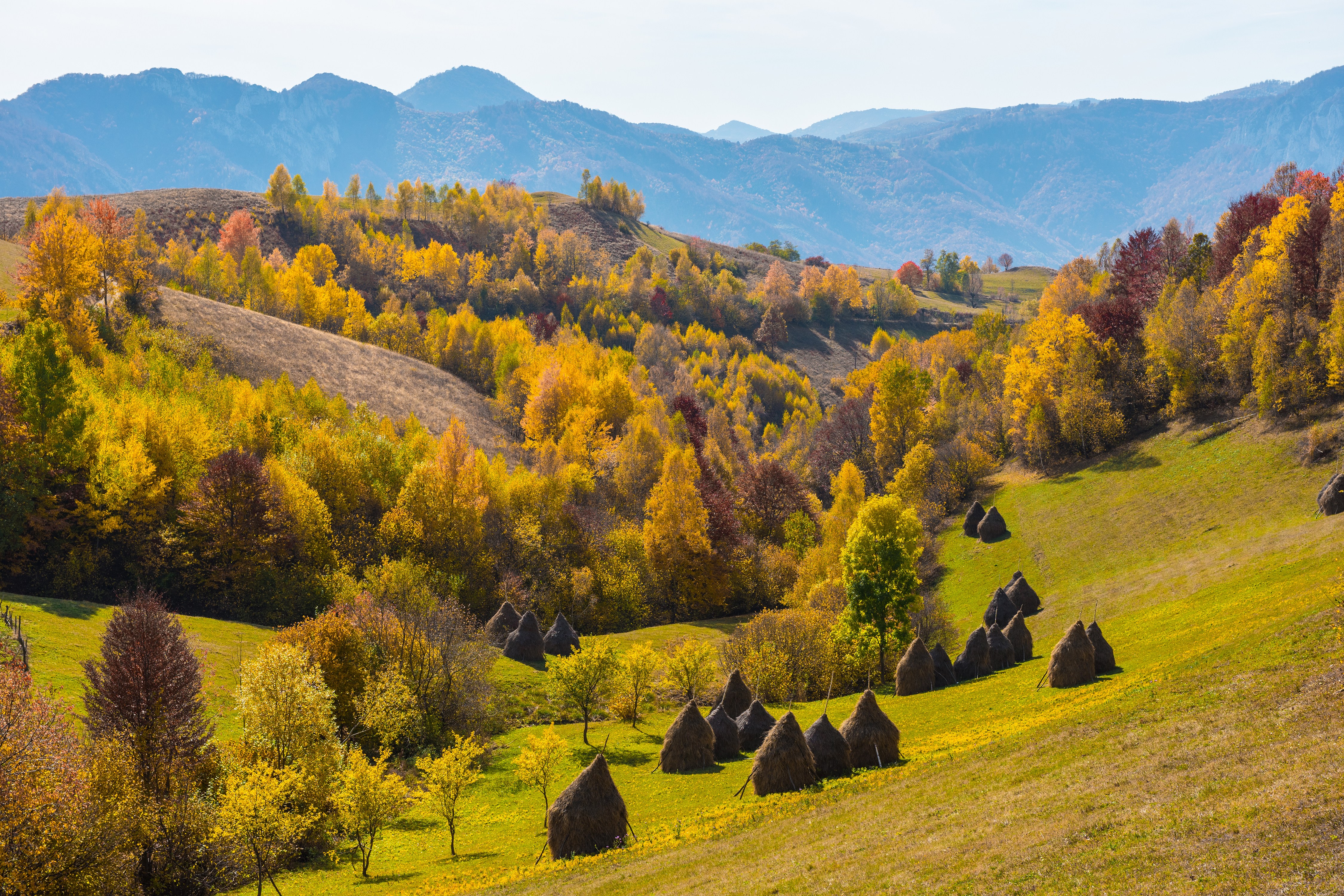 Autumn in the Carpathains