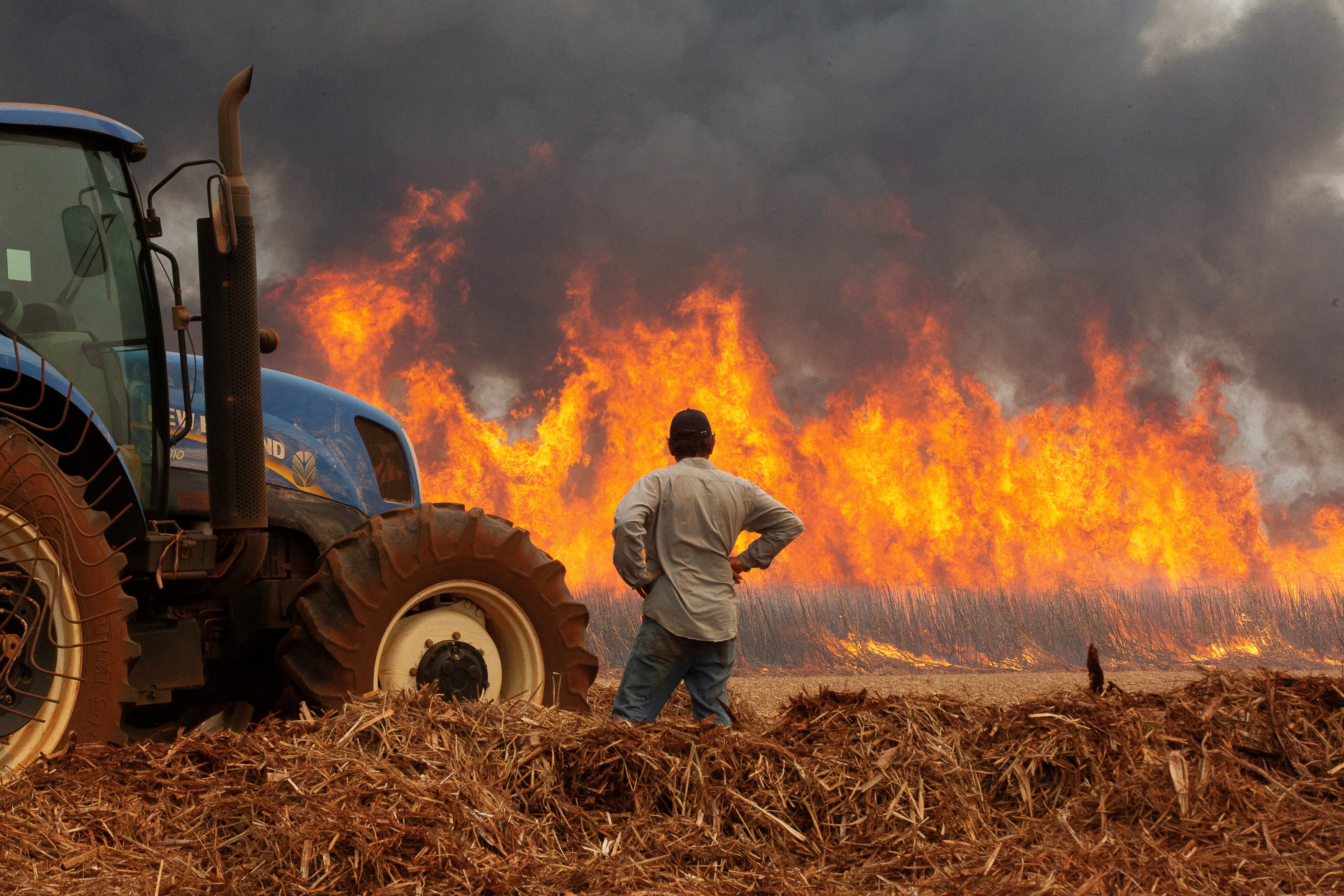 In August fires in sugarcane plantations in Brazil destroyed thousands of acres of crops