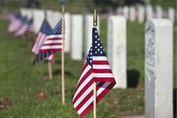 US flags on graves at a military cemetery