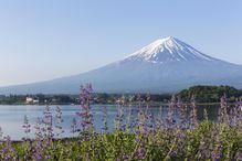 Mt. Fuji