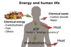 Energy and Thermodynamics