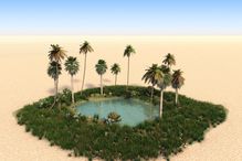 An oasis with palm trees in the middle of a desert