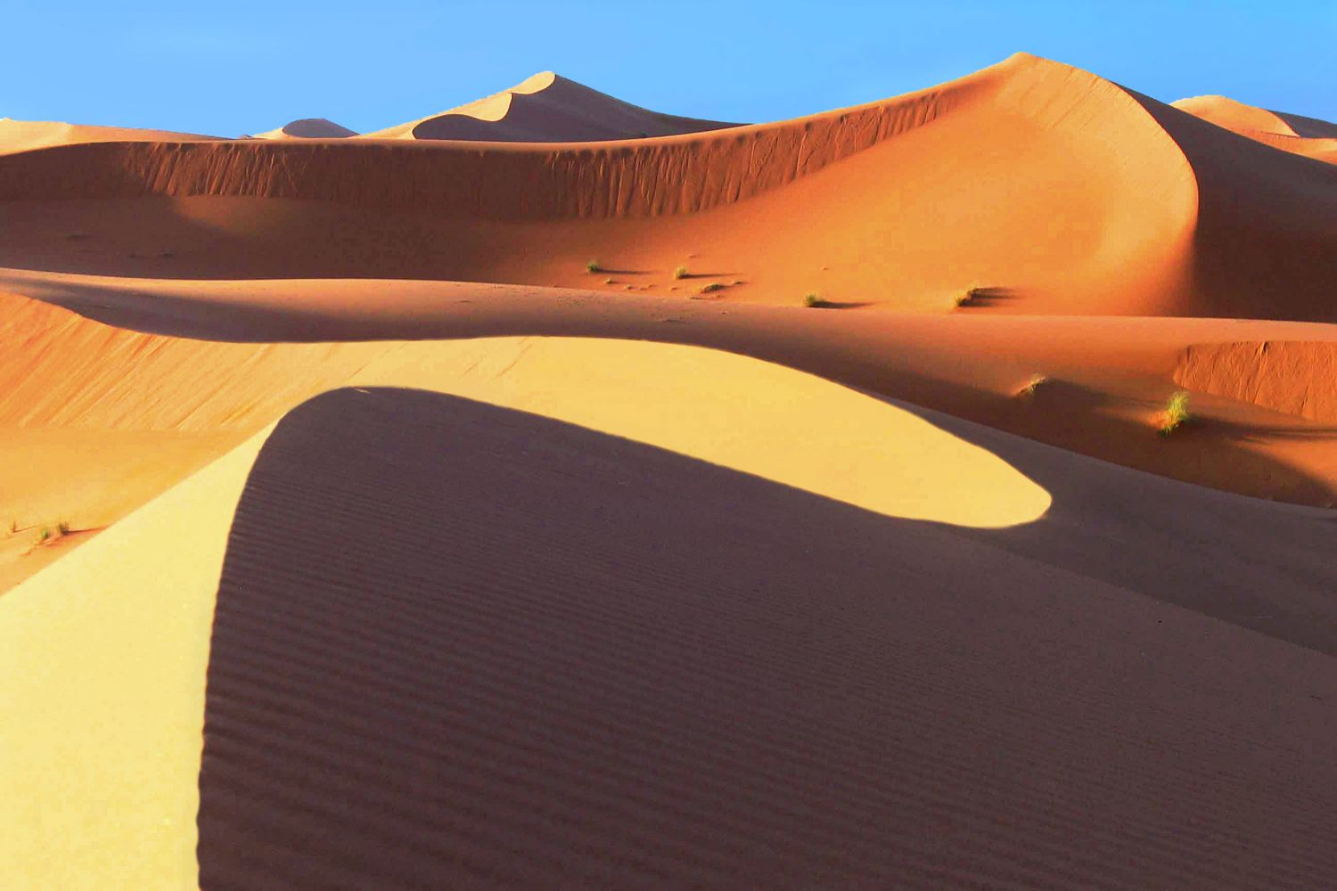 Sahara Desert