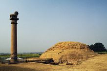 Ashoka Pillar