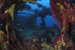 Donateur Wreck, Cote d&#39;Azur, France