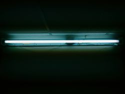 Fluorescent lights contain atoms that are excited, causing them to release energy that makes coatings in the light glow.