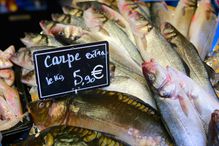 Fish for sale in French market