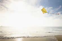 Kite flying above beach