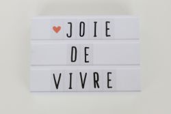 &#39;Joie de Vivre&#39; message in light box on white table