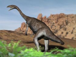 anchisaurus