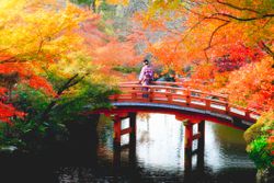 Autumn park, Japan