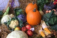 pumpkins and other vegetables