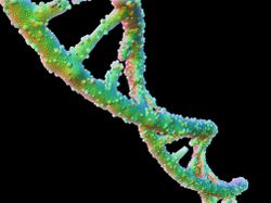 A strand of DNA in shades of blue, green, and pink