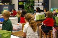 Students paying attention in the classroom