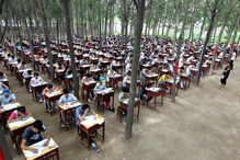 Exam In Poplar Woods