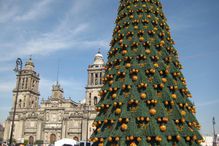 Christmas tree in Mexico City