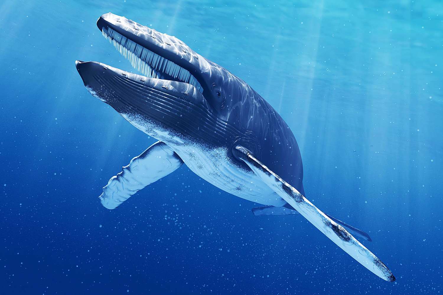 Computer illustration of a blue whale