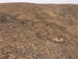 Desert Kite Archaeology Sites in the Negev South of Israel