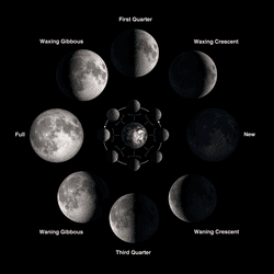 Lunar phases