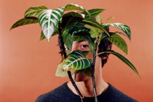 Man hiding behind plant