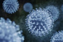 Influenza Virus (H1N1)