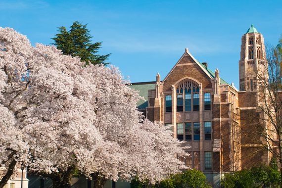 Trees and campus building at University of Washington